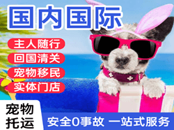额济纳旗桃来国际宠物托运 【国